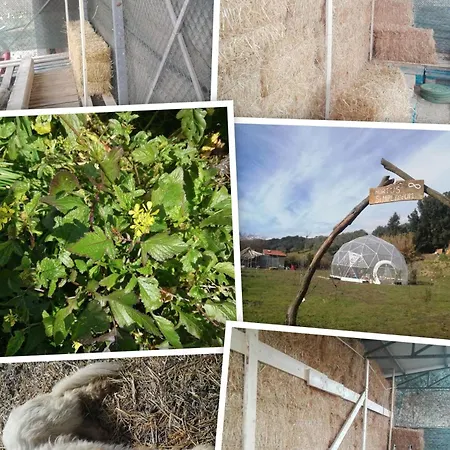 Séjour à la ferme Valle Incantata Farm E Lab Casale Marittimo